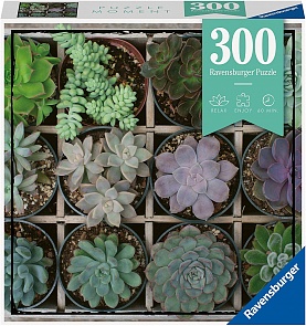 Пазл Суккуленты 300 элементов (Ravensburger, 12967)